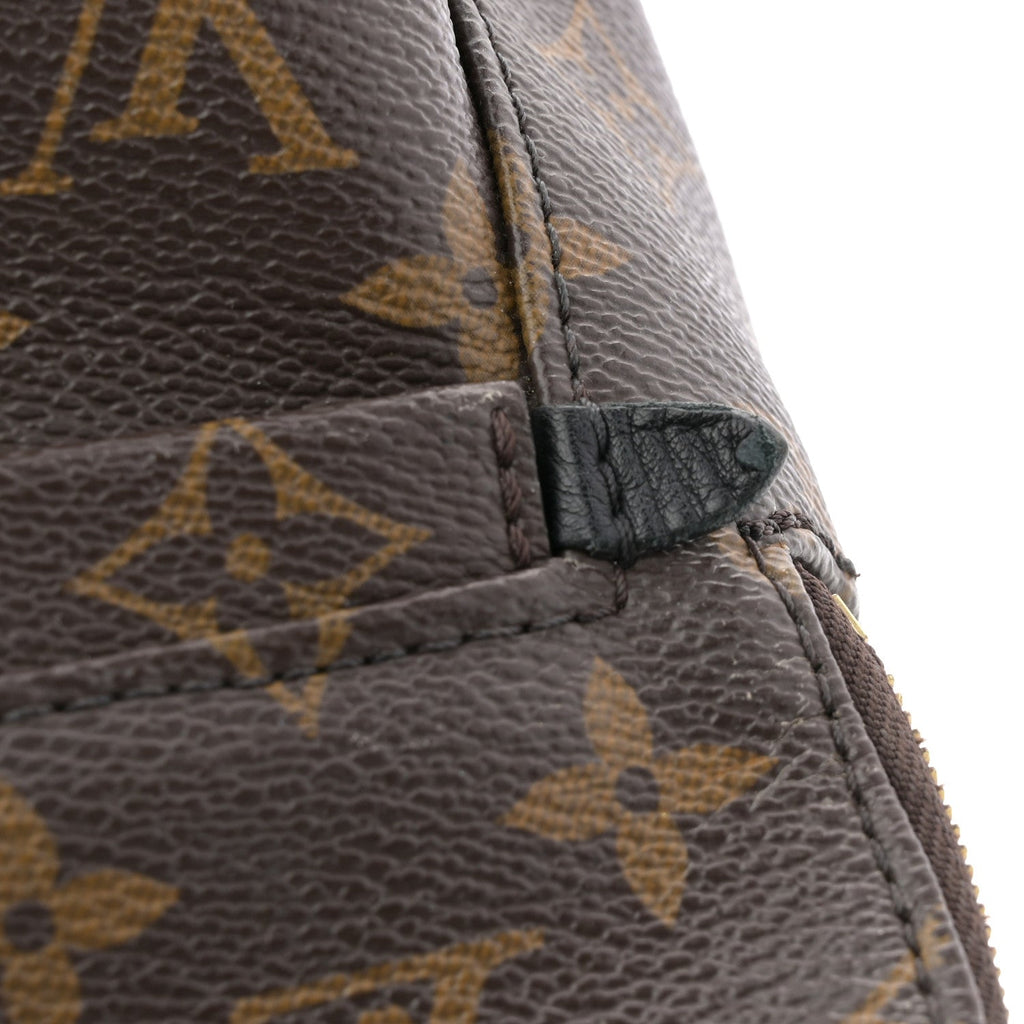 Monogram Palm Springs Backpack Mini £¨ Direct shipment via from wholesalehk.shop