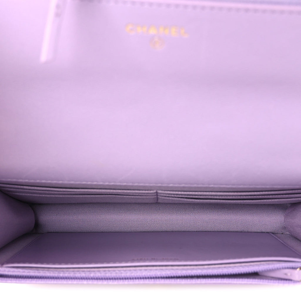 Lambskin Quilted Chanel 19 Wallet On Chain WOC Light Purple wholesalehk.shop