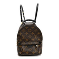 Monogram Palm Springs Backpack Mini £¨ Direct shipment via from wholesalehk.shop