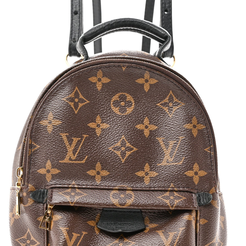 Monogram Palm Springs Backpack Mini £¨ Direct shipment via from wholesalehk.shop