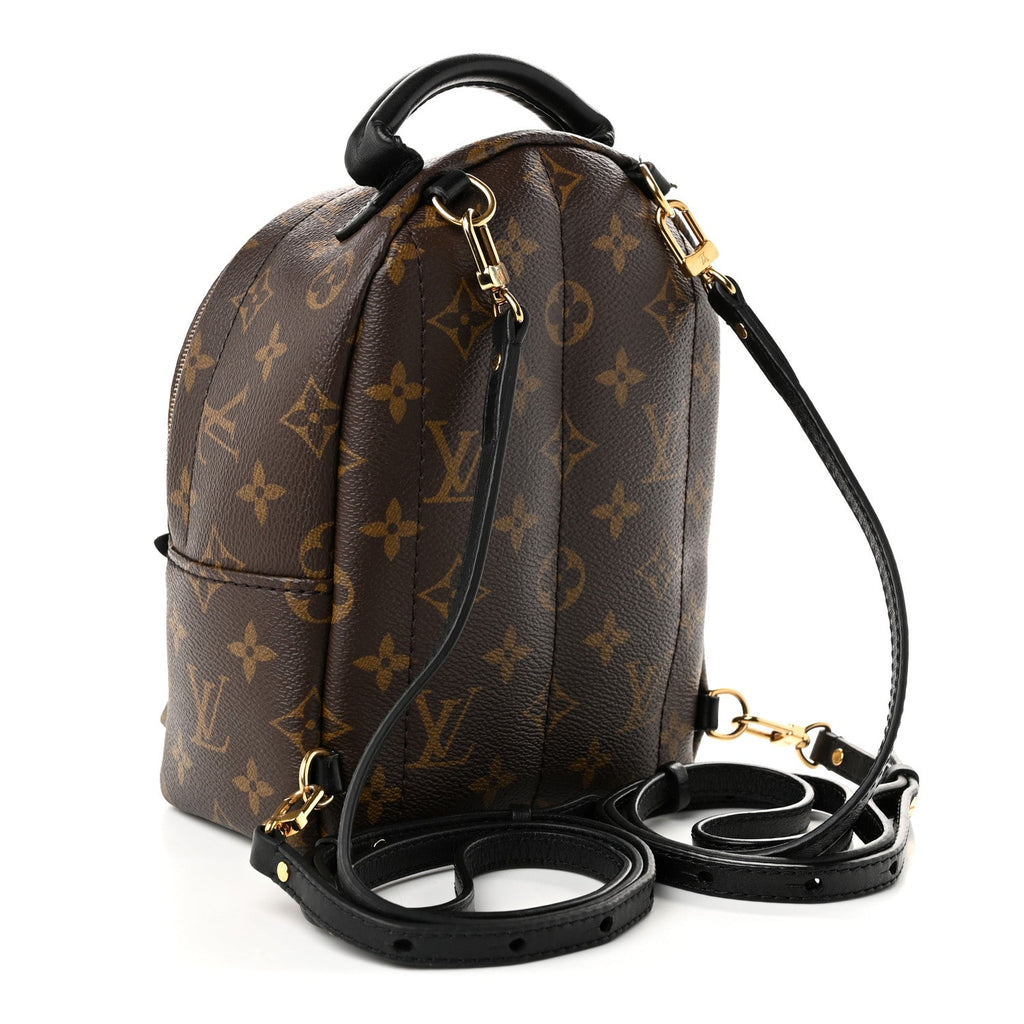 Monogram Palm Springs Backpack Mini £¨ Direct shipment via from wholesalehk.shop