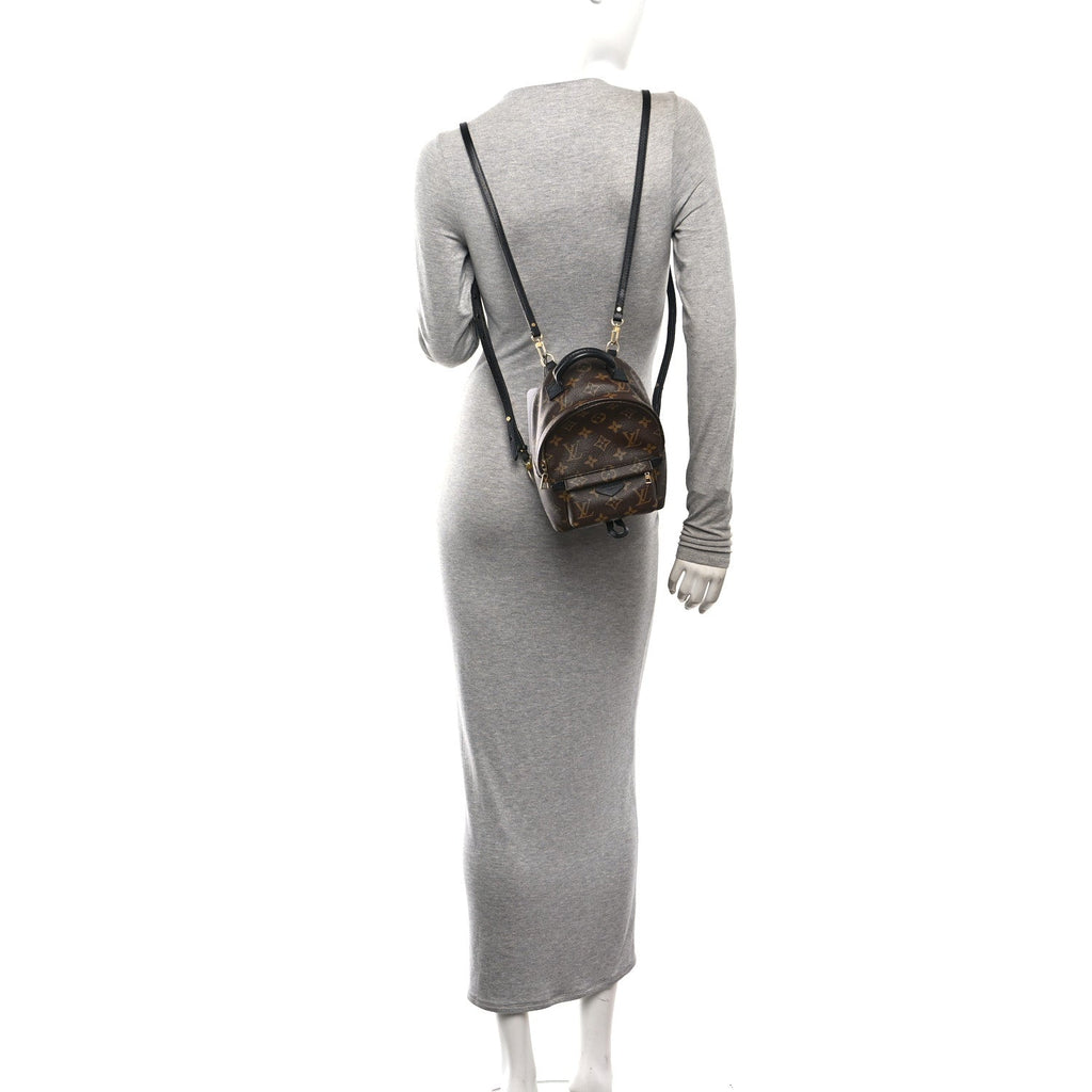 Monogram Palm Springs Backpack Mini £¨ Direct shipment via from wholesalehk.shop