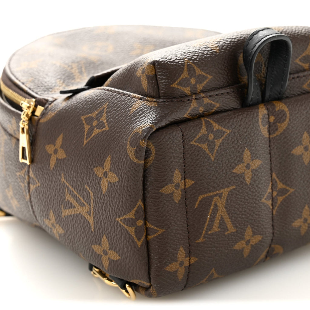 Monogram Palm Springs Backpack Mini £¨ Direct shipment via from wholesalehk.shop