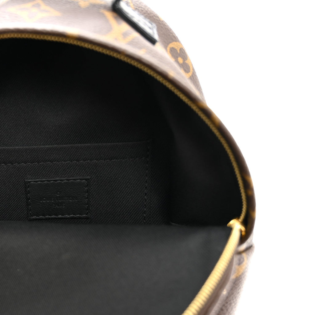 Monogram Palm Springs Backpack Mini £¨ Direct shipment via from wholesalehk.shop