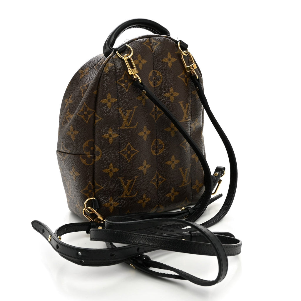 Monogram Palm Springs Backpack Mini £¨ Direct shipment via from wholesalehk.shop