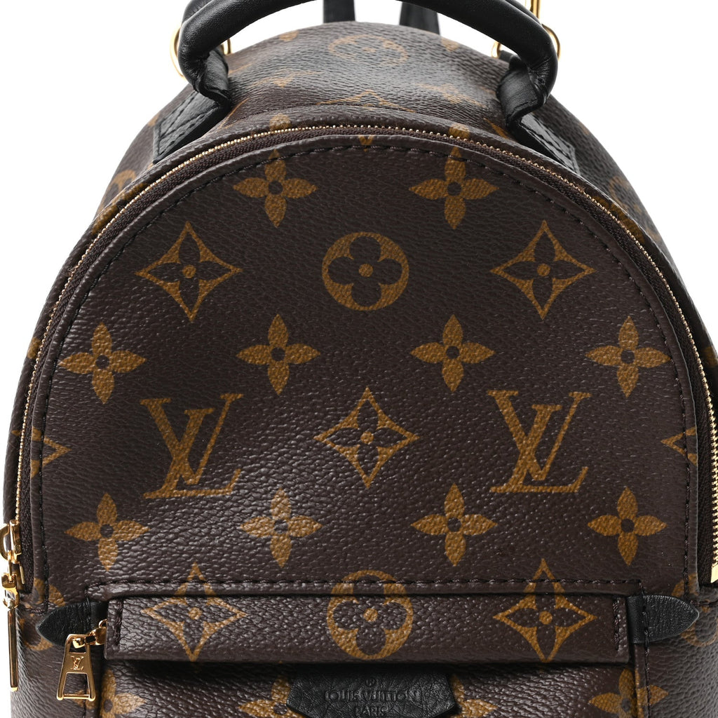 Monogram Palm Springs Backpack Mini £¨ Direct shipment via from wholesalehk.shop