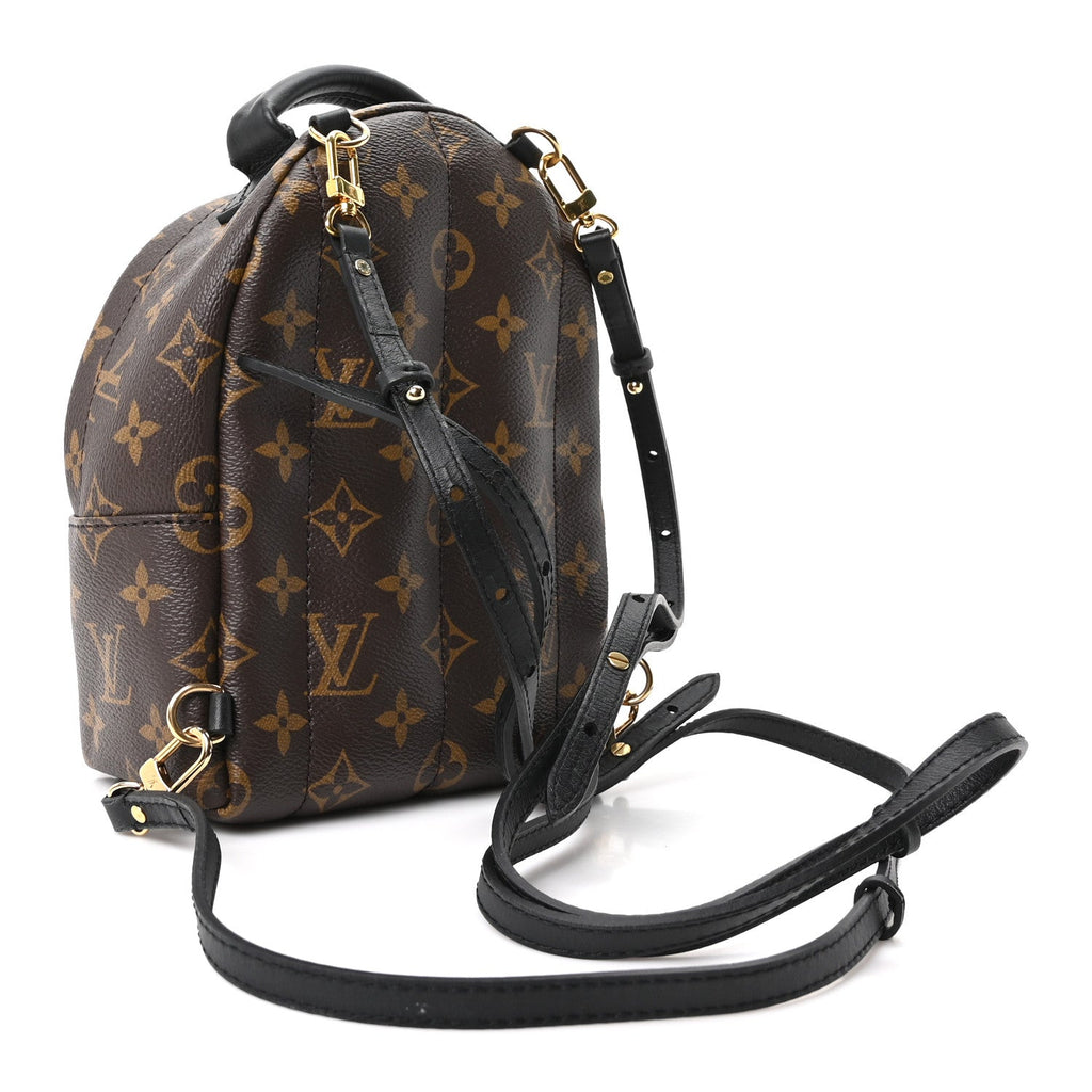 Monogram Palm Springs Backpack Mini £¨ Direct shipment via from wholesalehk.shop