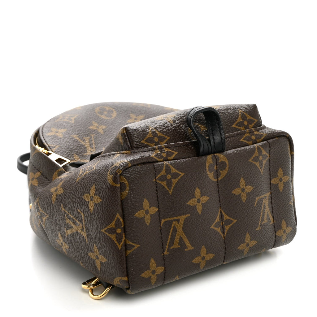 Monogram Palm Springs Backpack Mini £¨ Direct shipment via from wholesalehk.shop