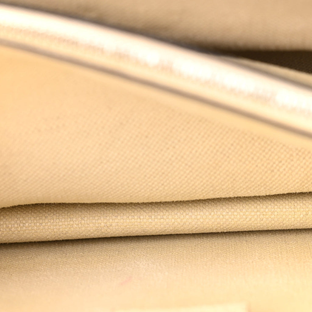 Textured Calfskin Crystal Small Dionysus Shoulder Bag Mystic White wholesalehk.shop