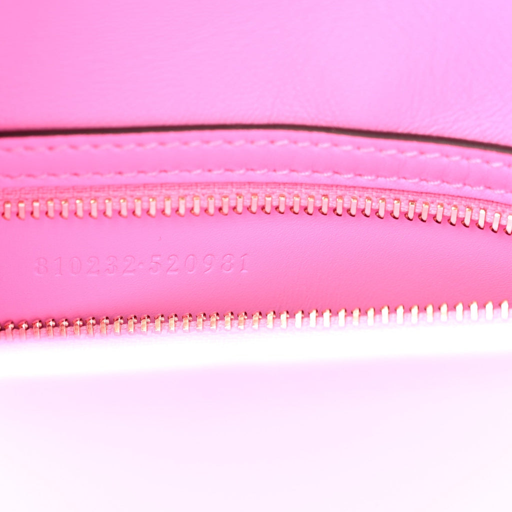 Ancora Calfskin Web Medium Jackie 1961 Hobo Pink £¨ Direct shipment via from wholesalehk.shop