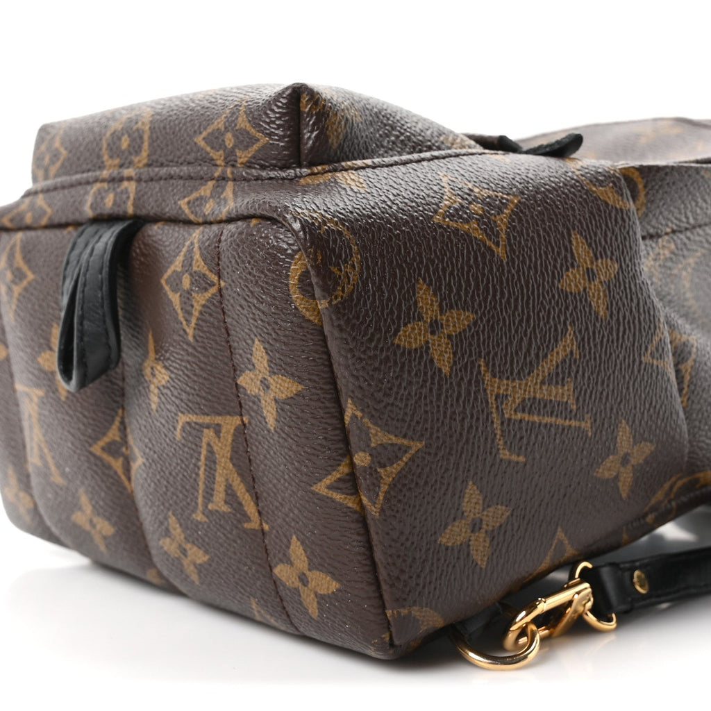 Monogram Palm Springs Backpack Mini £¨ Direct shipment via from wholesalehk.shop