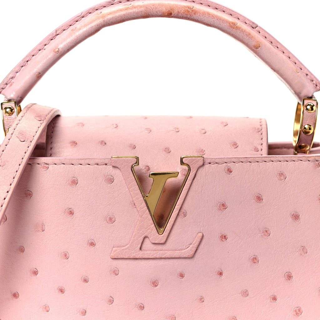 Ostrich Capucines Mini Pink £¨ Direct shipment via from wholesalehk.shop