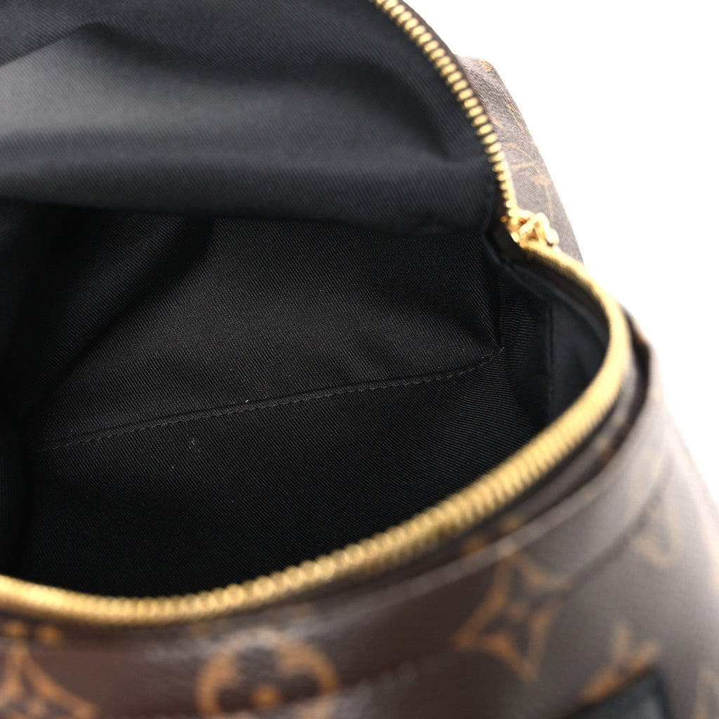 Monogram Palm Springs Backpack PM £¨ Direct shipment via from wholesalehk.shop