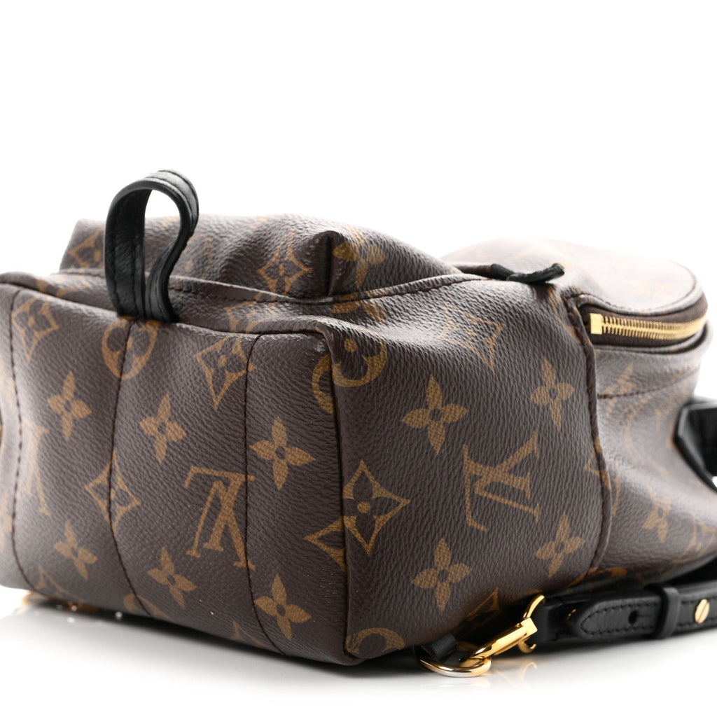 Monogram Palm Springs Backpack Mini £¨ Direct shipment via from wholesalehk.shop