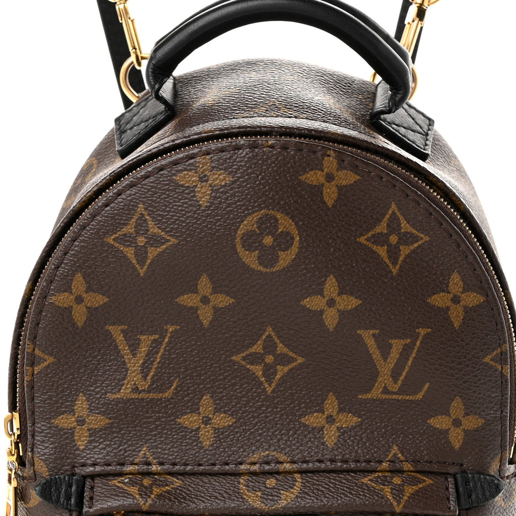 Monogram Palm Springs Backpack Mini £¨ Direct shipment via from wholesalehk.shop