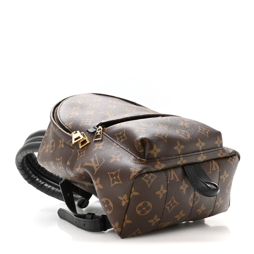 Monogram Palm Springs Backpack PM £¨ Direct shipment via from wholesalehk.shop