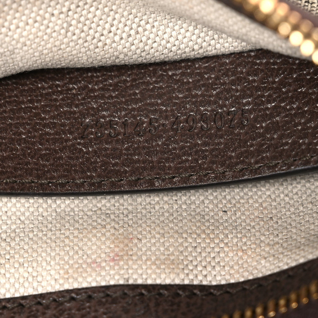 GG Supreme Monogram Textured Dollar Calfskin Small Ophidia Hobo Beige Ebony New Acero wholesalehk.shop