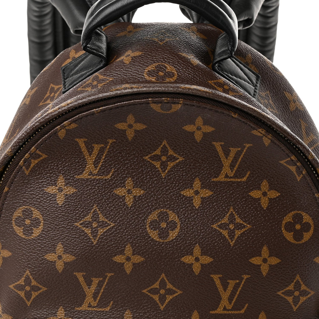 Monogram Palm Springs Backpack PM £¨ Direct shipment via from wholesalehk.shop