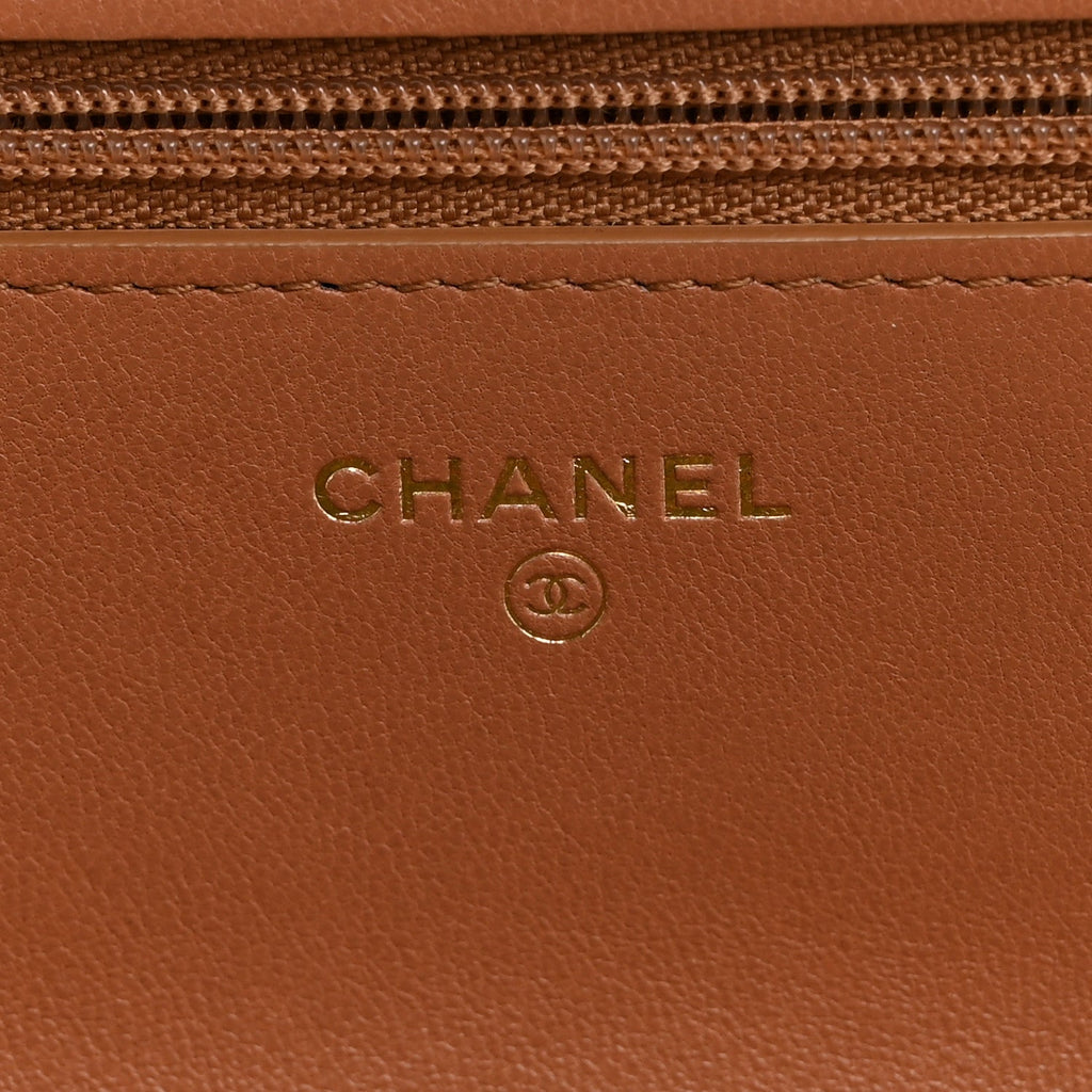 Lambskin Quilted Chanel 19 Wallet On Chain WOC Brown wholesalehk.shop