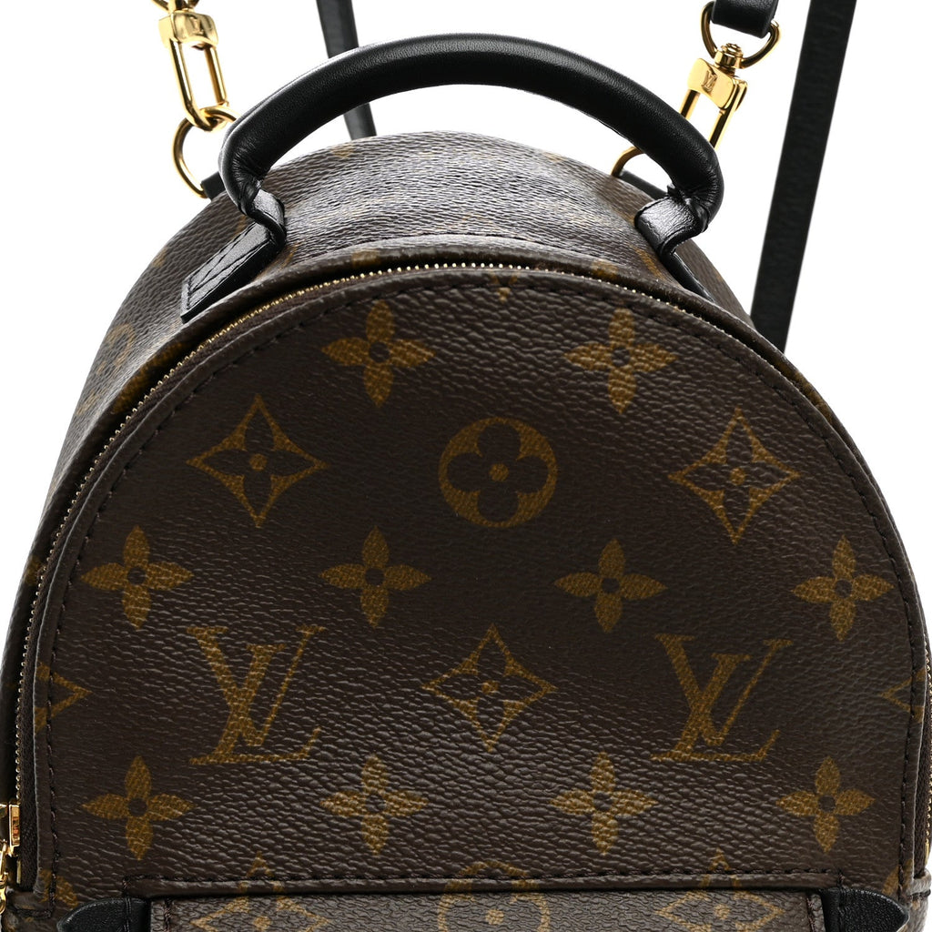 Monogram Palm Springs Backpack Mini £¨ Direct shipment via from wholesalehk.shop