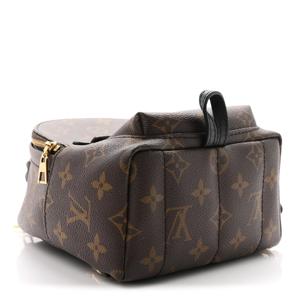 Monogram Palm Springs Backpack Mini £¨ Direct shipment via from wholesalehk.shop