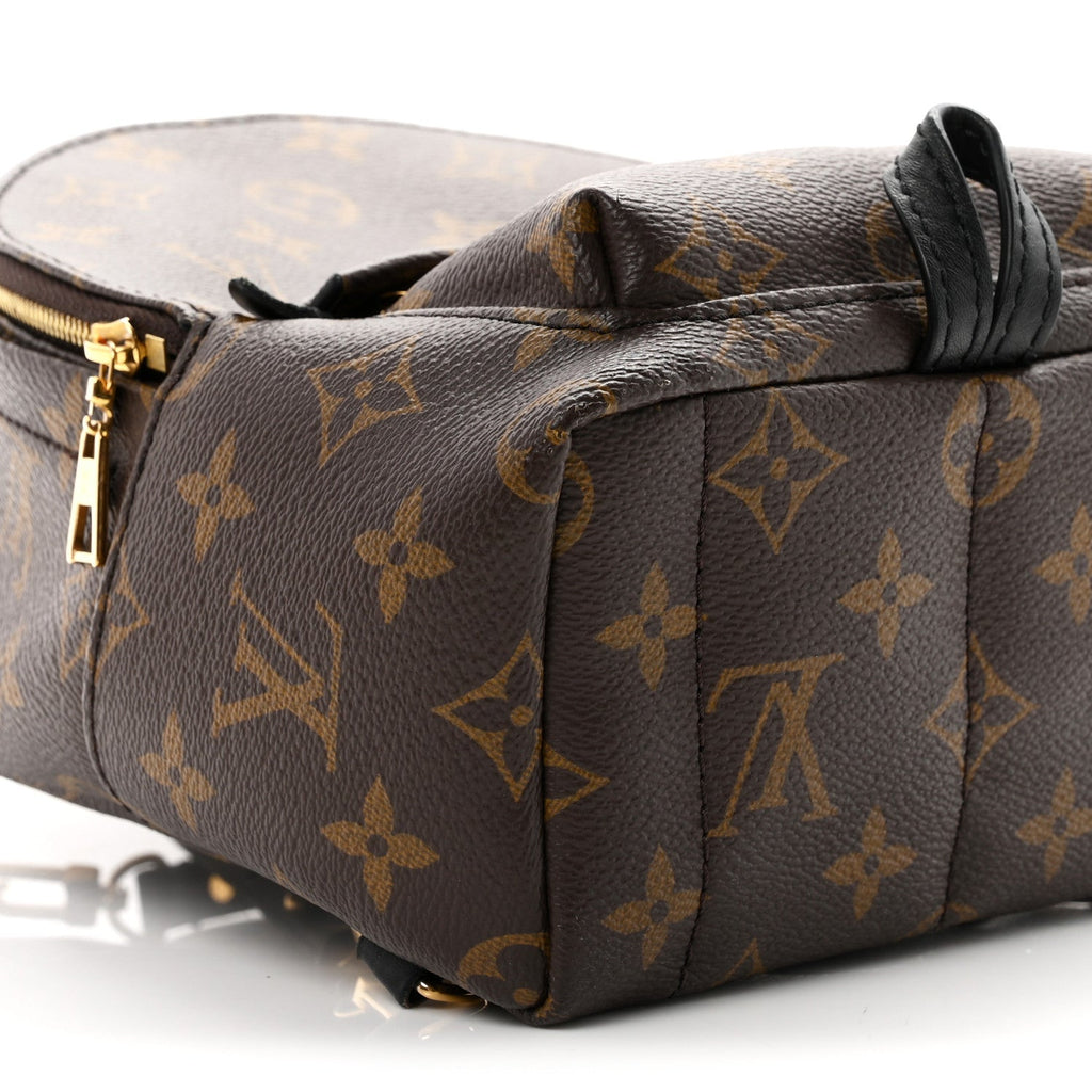 Monogram Palm Springs Backpack Mini £¨ Direct shipment via from wholesalehk.shop