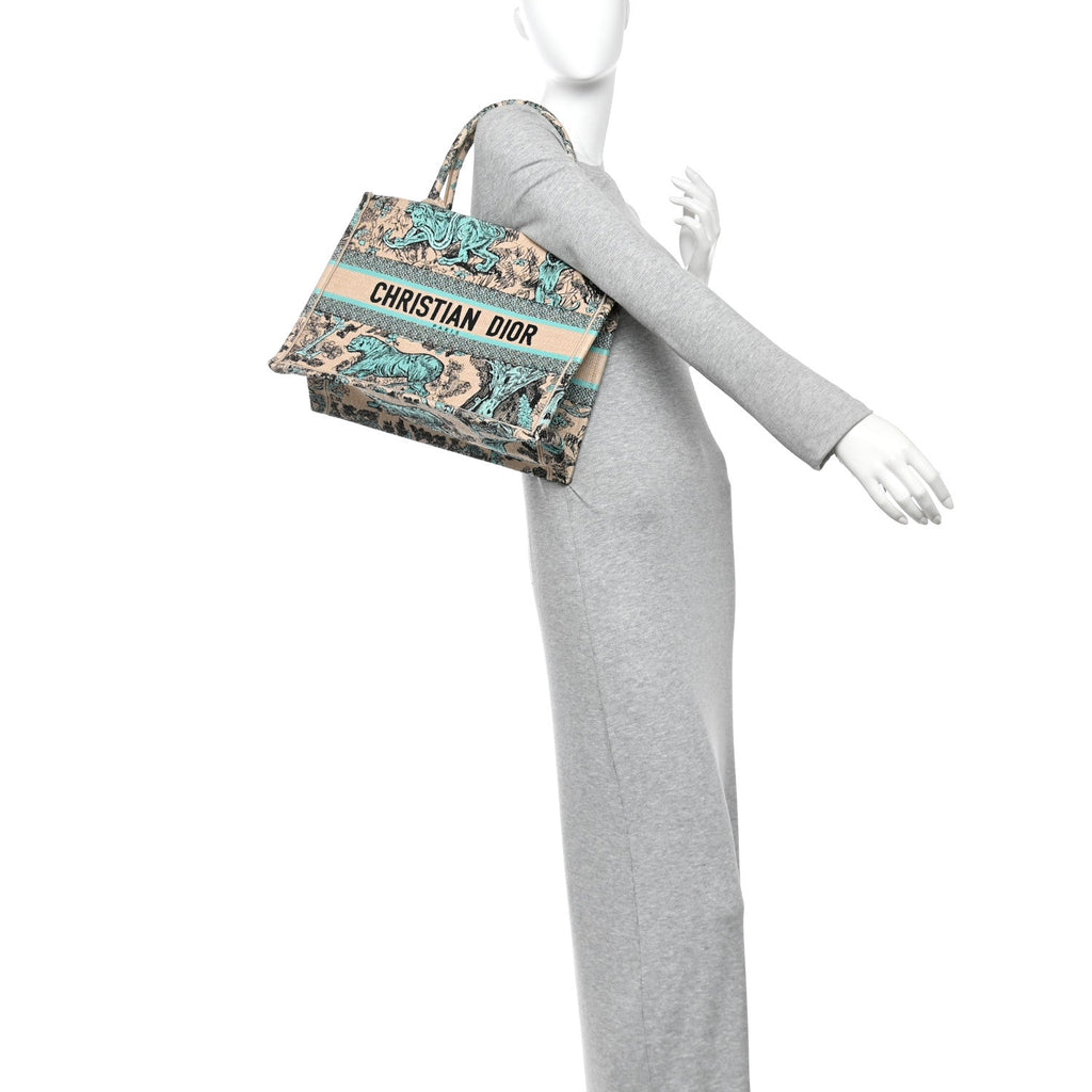 Raffia Embroidered Dioriviera Medium Book Tote Aquamarina £¨ Direct shipment via from wholesalehk.shop