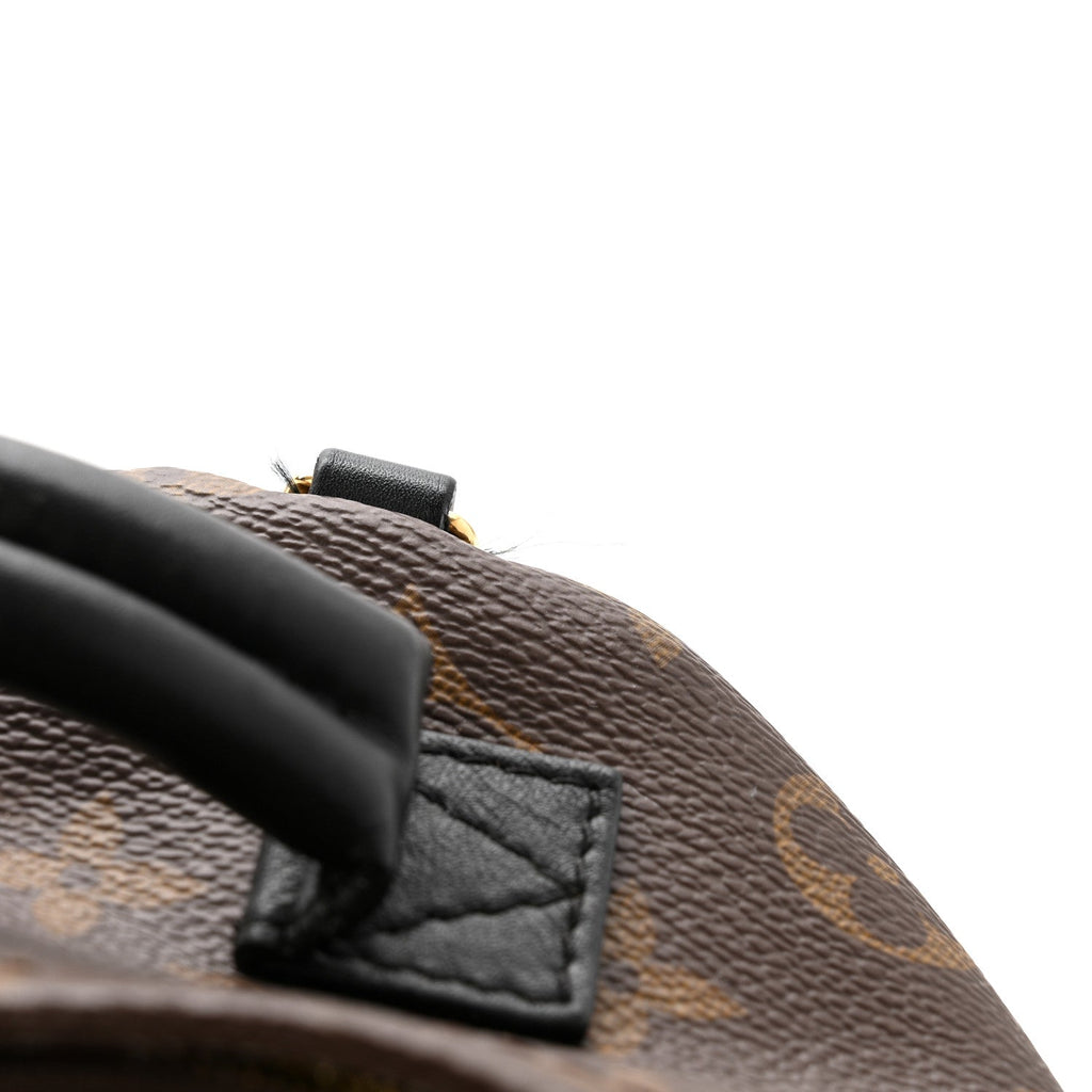 Monogram Palm Springs Backpack Mini £¨ Direct shipment via from wholesalehk.shop