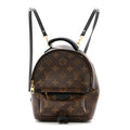 Monogram Palm Springs Backpack Mini £¨ Direct shipment via from wholesalehk.shop