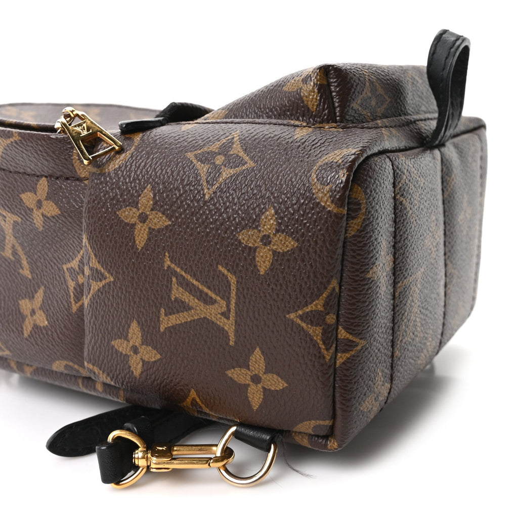 Monogram Palm Springs Backpack Mini £¨ Direct shipment via from wholesalehk.shop