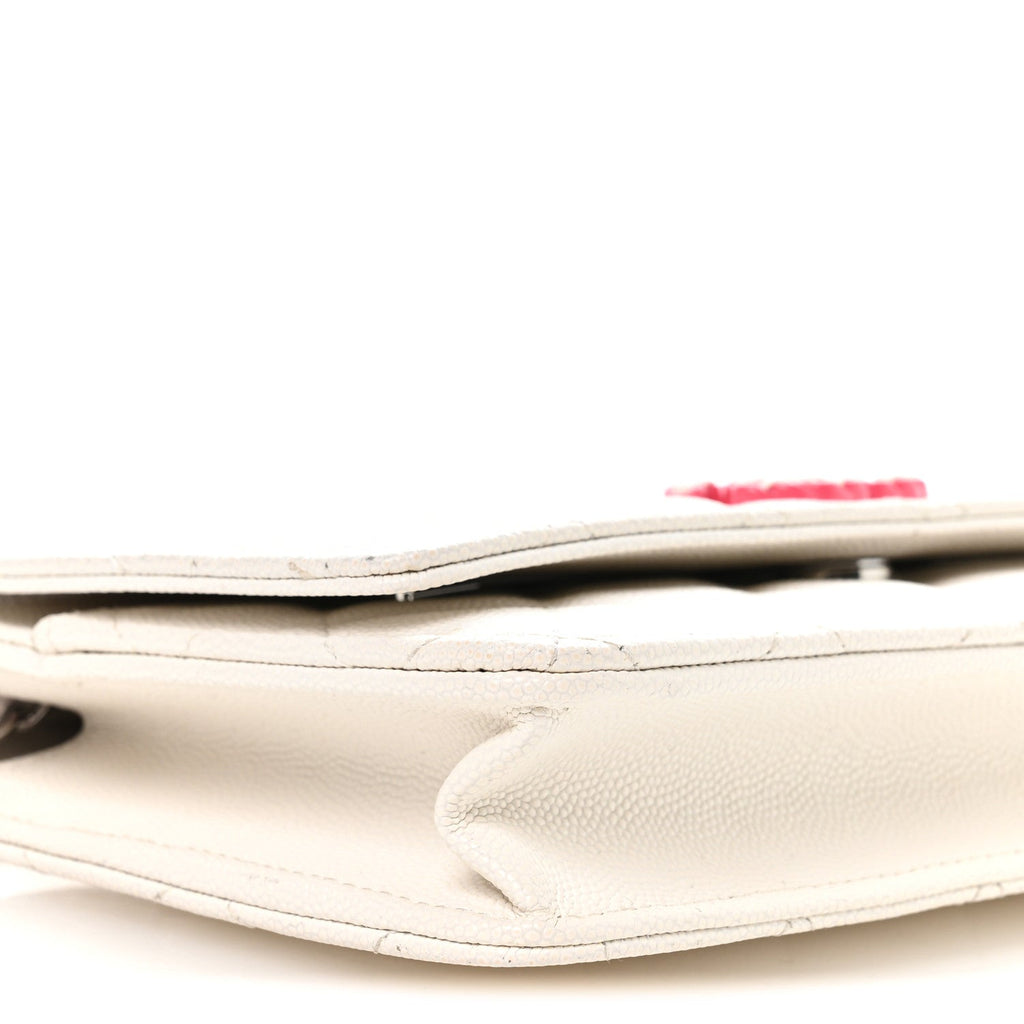 Caviar Quilted Chanel 19 Wallet on Chain WOC White Pink wholesalehk.shop