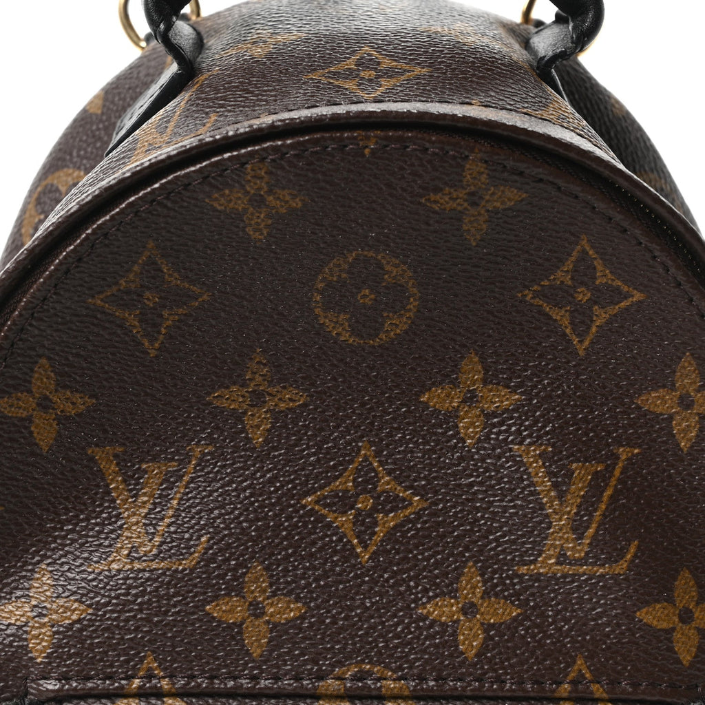 Monogram Palm Springs Backpack Mini £¨ Direct shipment via from wholesalehk.shop