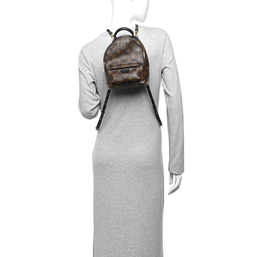 Monogram Palm Springs Backpack Mini £¨ Direct shipment via from wholesalehk.shop
