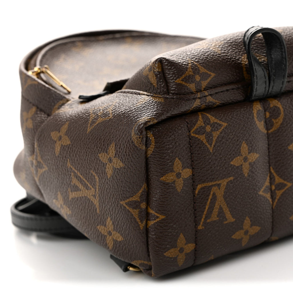 Monogram Palm Springs Backpack Mini £¨ Direct shipment via from wholesalehk.shop