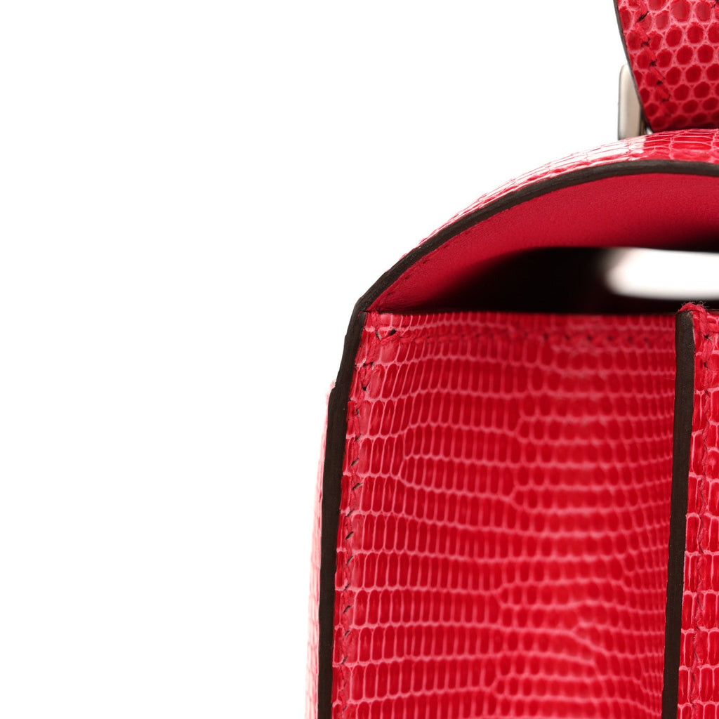 Lizard Constance 18 Rose Extreme £¨ Direct shipment via from wholesalehk.shop