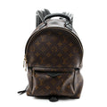 Monogram Palm Springs Backpack PM £¨ Direct shipment via from wholesalehk.shop