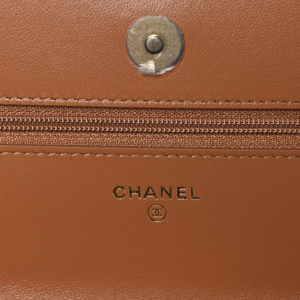 Lambskin Quilted Chanel 19 Wallet On Chain WOC Brown wholesalehk.shop