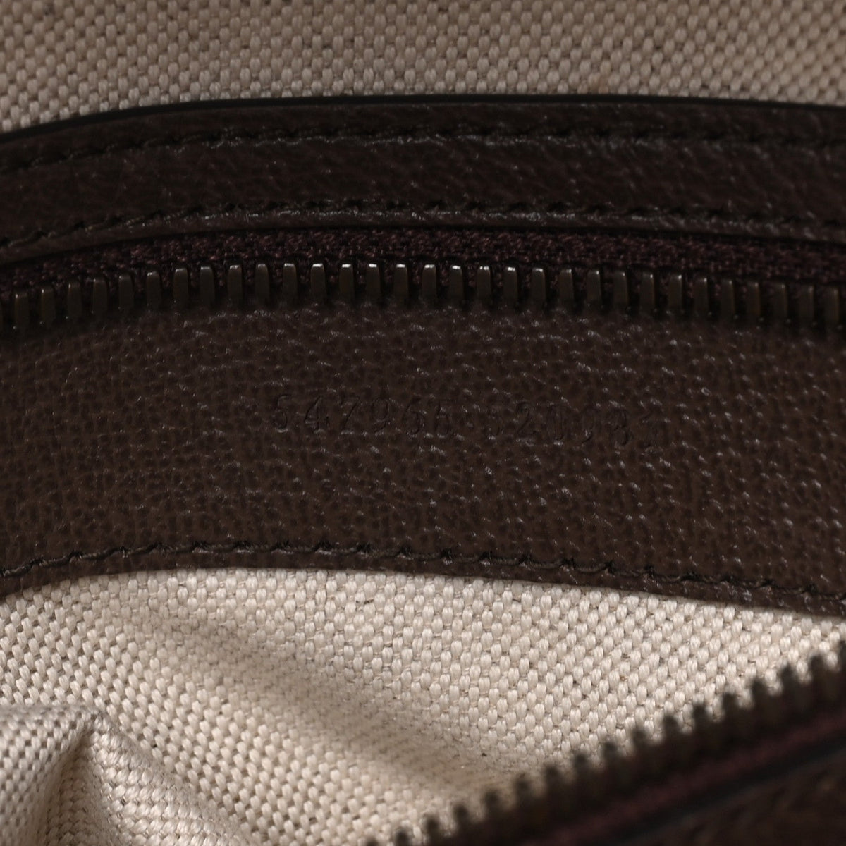 GG Supreme Monogram Textured Dollar Calfskin Web Small Ophidia Day Backpack Beige Ebony Fluorescent Fuchsia wholesalehk.shop