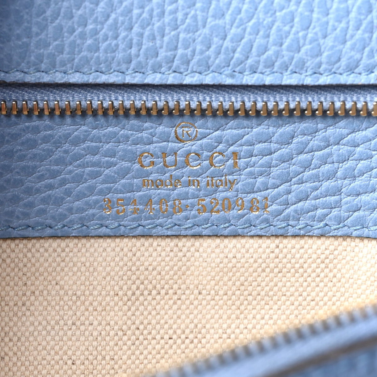 Dollar Calfskin Small Swing Tote Camelia Mineral Blue wholesalehk.shop