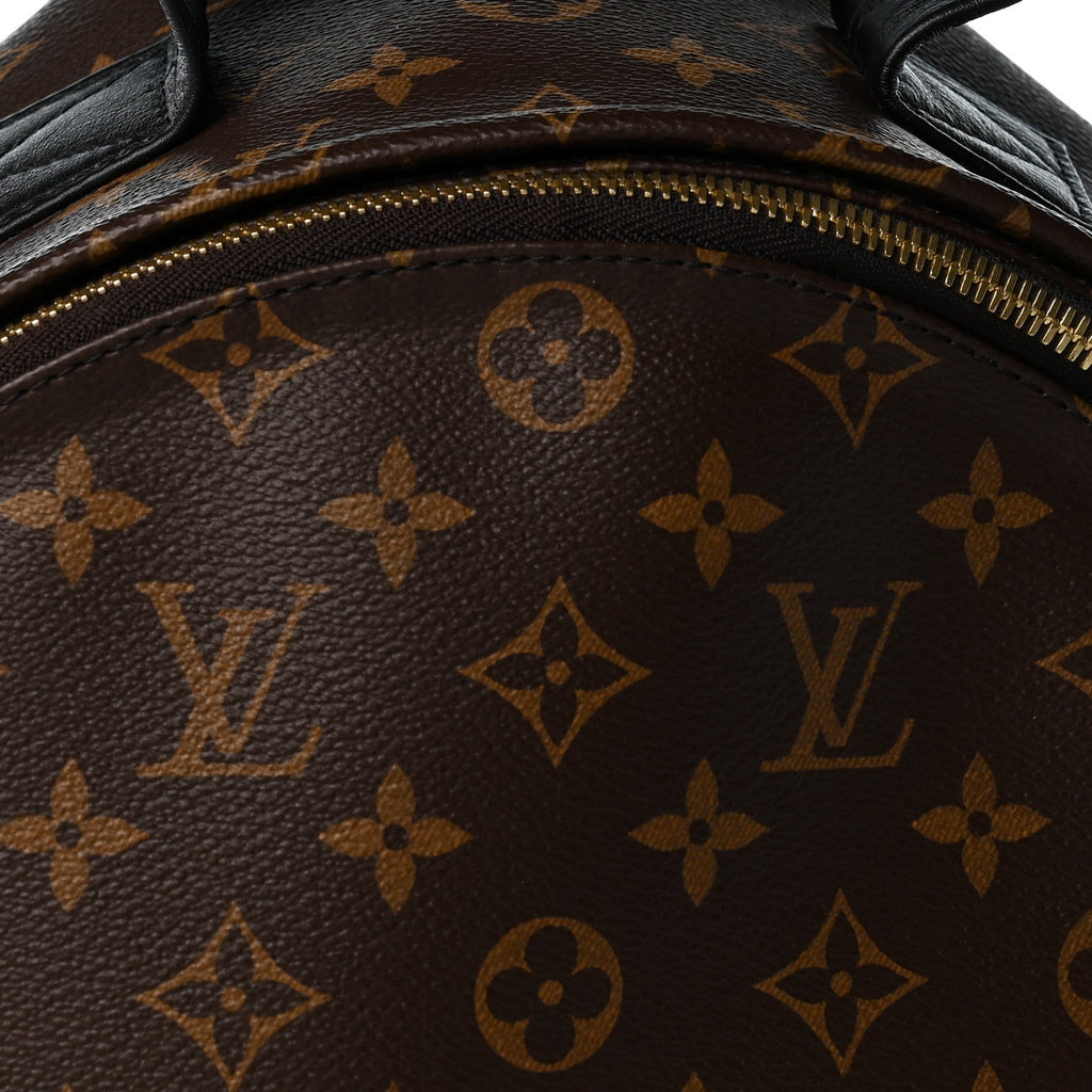 Monogram Palm Springs Backpack MM £¨ Direct shipment via from wholesalehk.shop