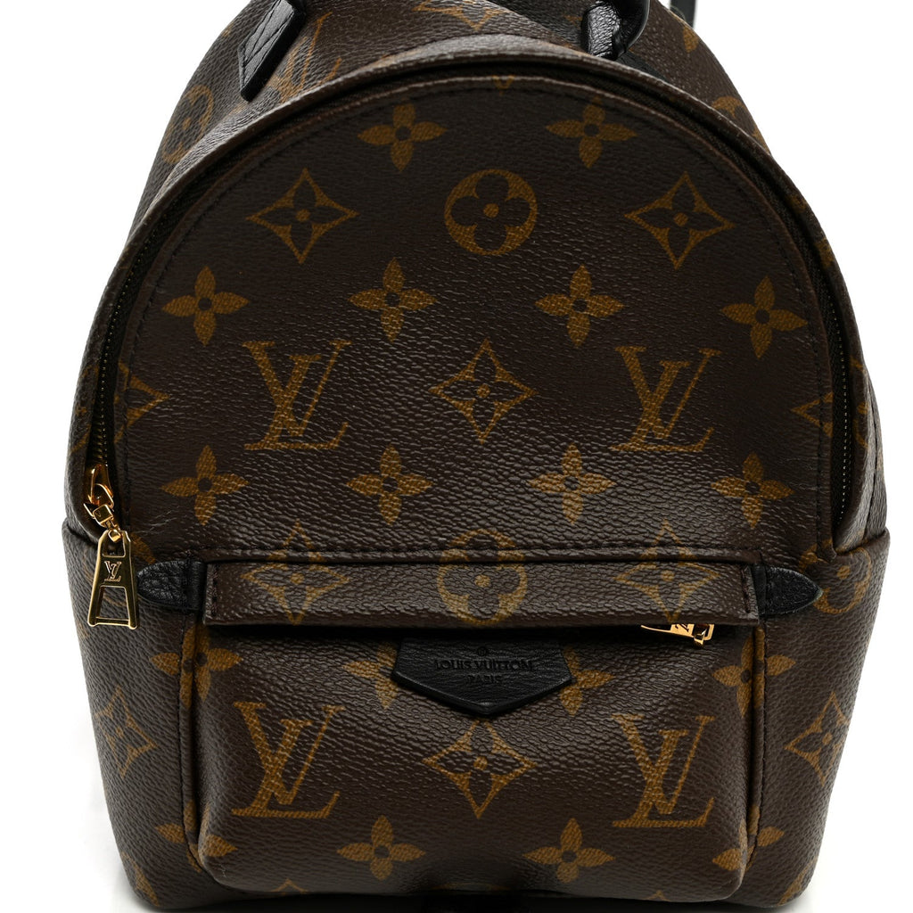 Monogram Palm Springs Backpack Mini £¨ Direct shipment via from wholesalehk.shop