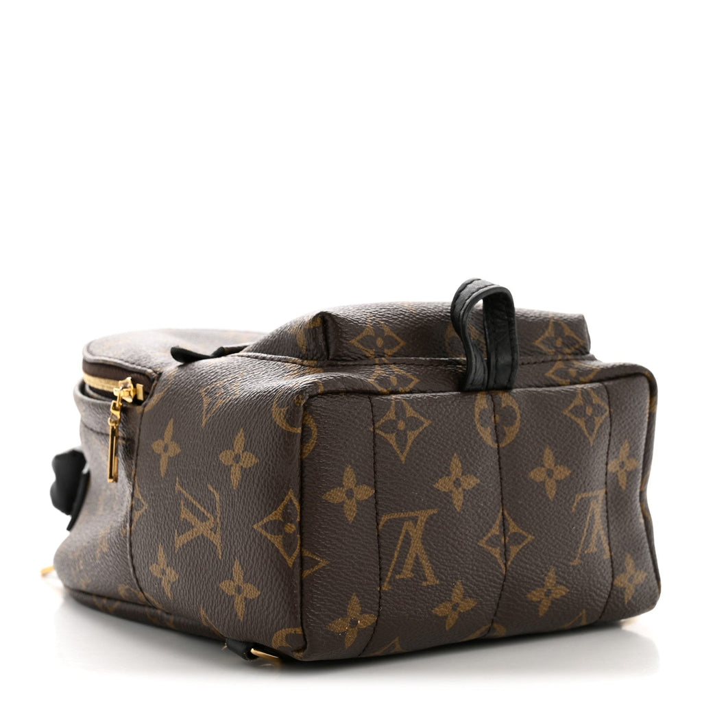 Monogram Palm Springs Backpack Mini £¨ Direct shipment via from wholesalehk.shop