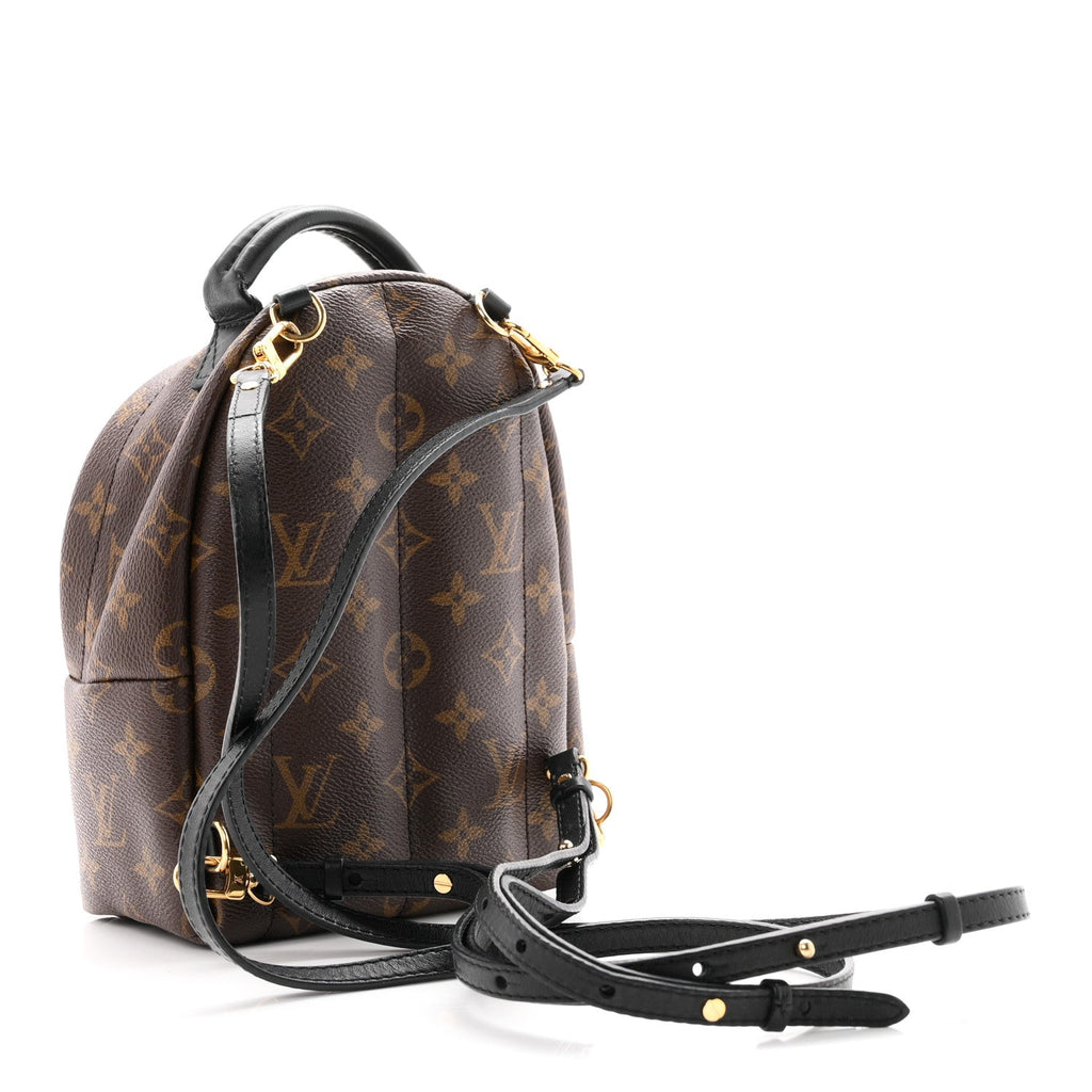 Monogram Palm Springs Backpack Mini £¨ Direct shipment via from wholesalehk.shop