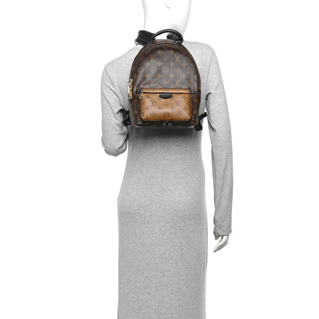 Reverse Monogram Palm Springs Backpack PM £¨ Direct shipment via from wholesalehk.shop