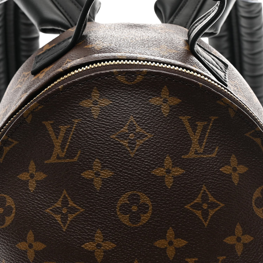 Monogram Palm Springs Backpack PM £¨ Direct shipment via from wholesalehk.shop
