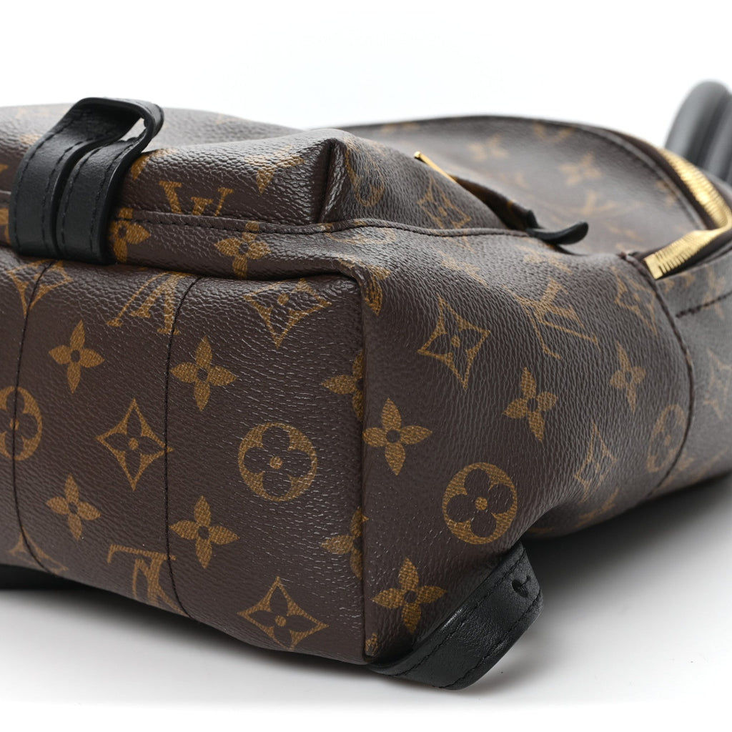 Monogram Palm Springs Backpack PM £¨ Direct shipment via from wholesalehk.shop