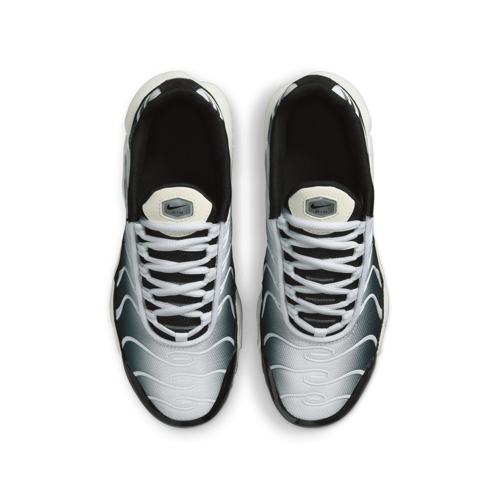 Big Kids' Nike Air Max Plus "Metallic Cool Grey"