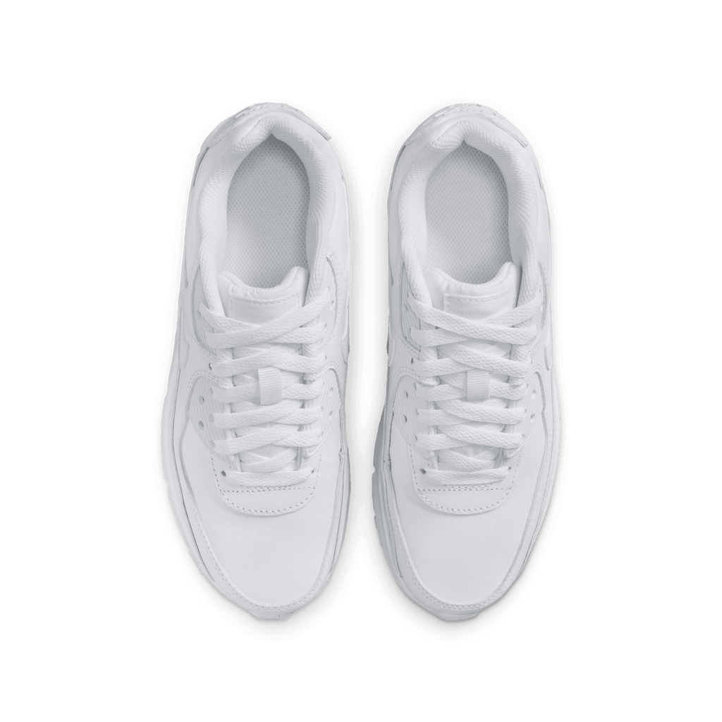 Big Kidsâ€?Nike Air Max 90 LTR "White Metallic Silver"