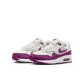 Big Kids' Air Max 1 "Viotech"
