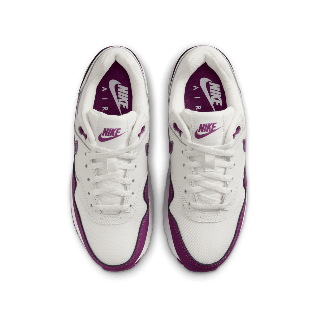 Big Kids' Air Max 1 "Viotech"